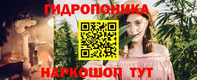 шишки Канаш