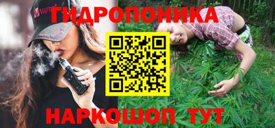 шишки Канаш