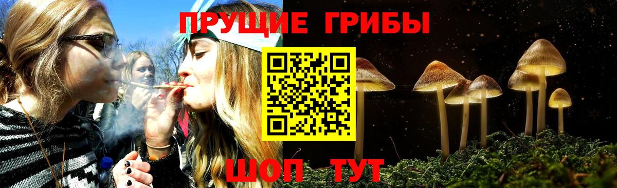 Псилоцибиновые грибы Cubensis  что такое наркотик  Торжок  Вход с VPN 